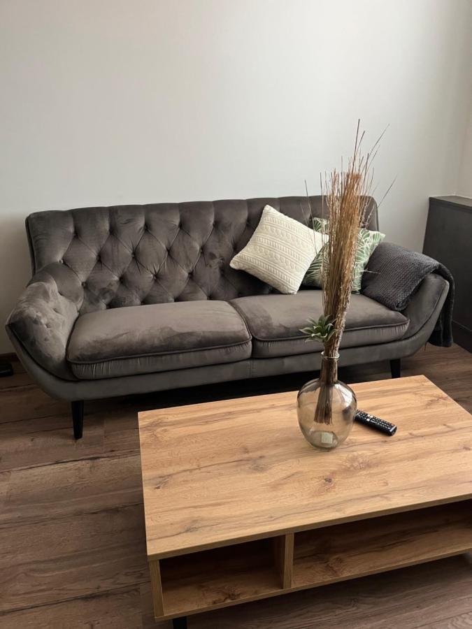 Luxusni Nove Zrekonstruovany Apartman 2Kk - 47M2 - Ostrava Centrum Exteriör bild